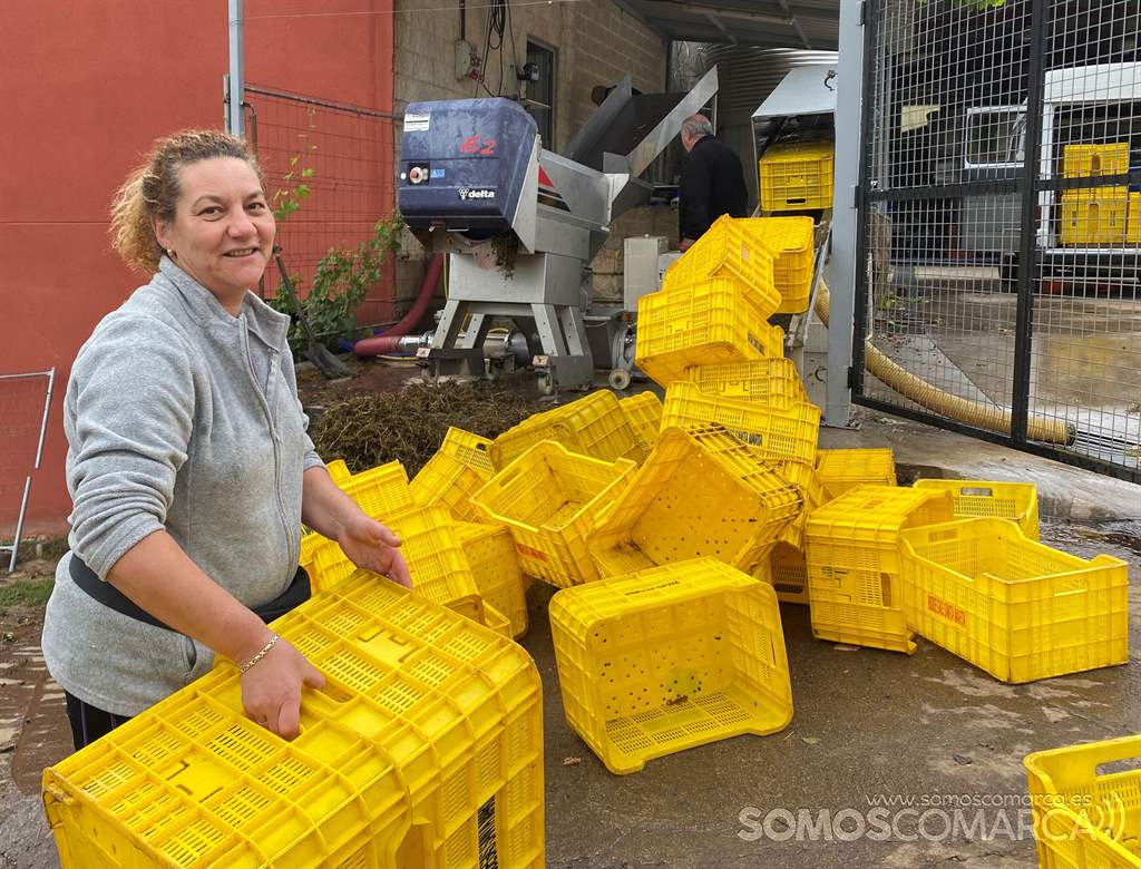 somoscomarca_obarco_vendimia_viñaredo_santamarta_chus_2021 (1)