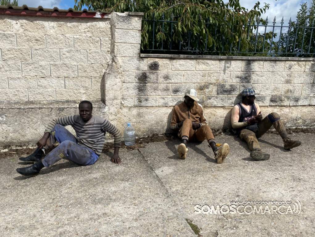 Temporeros procedentes de Murcia palian la falta de personal para la vendimia