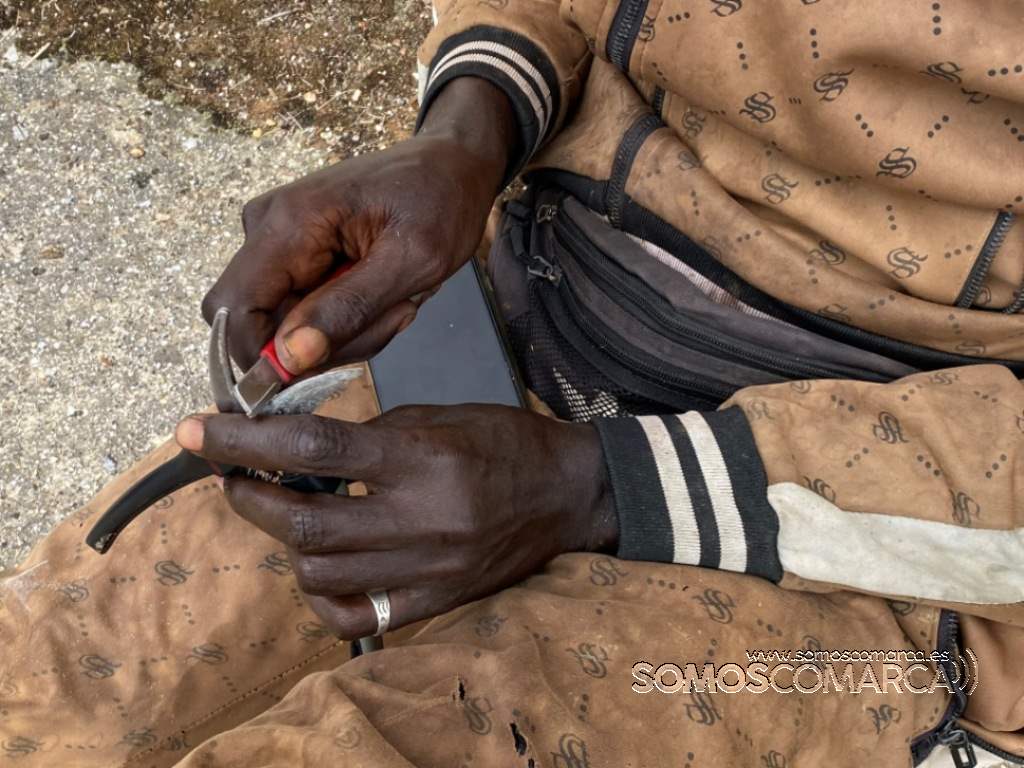 somoscomarca_obarco_vendimia_viñaredo_santamarta_temporeros_2021 (27)