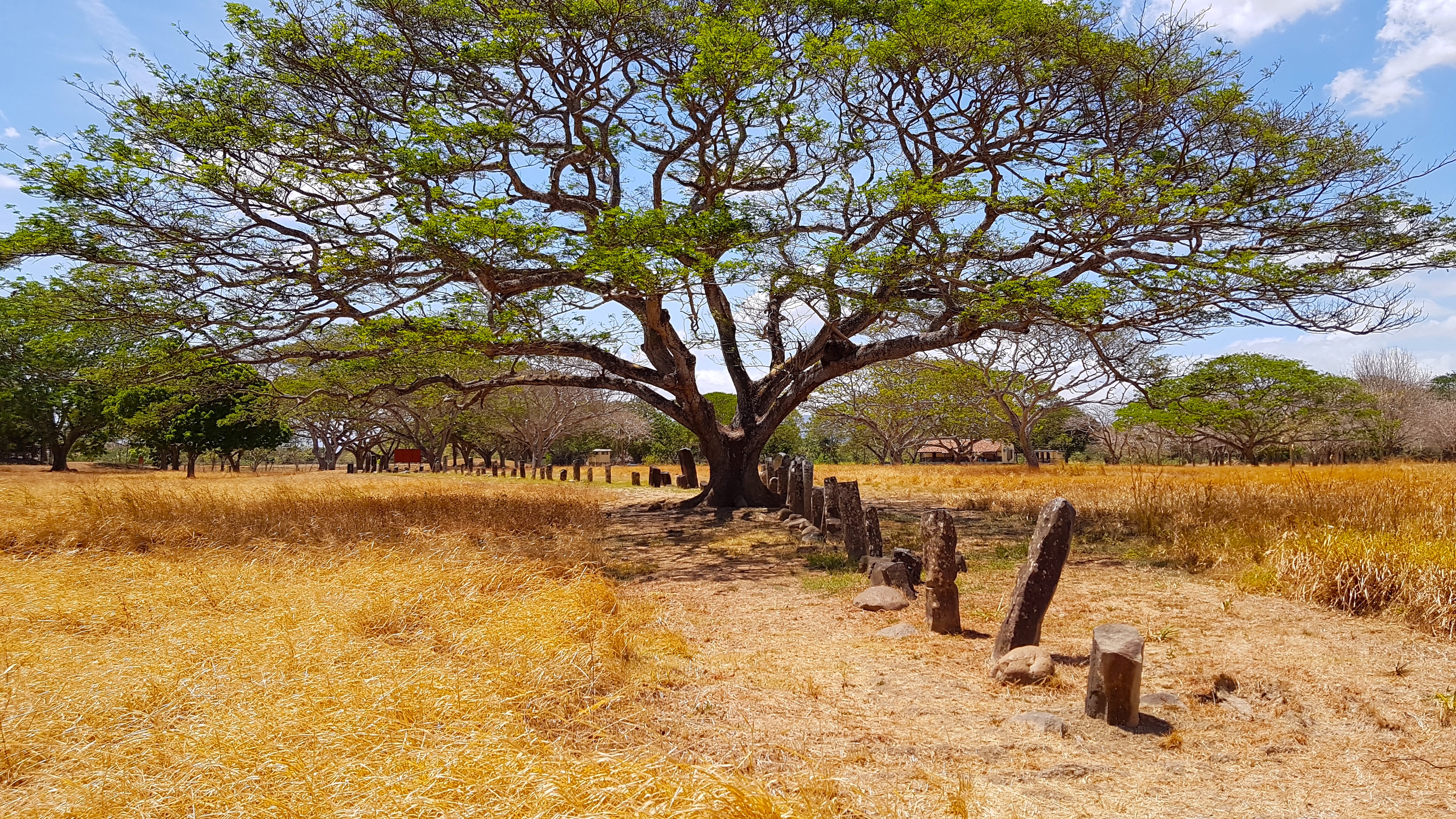 yacimientos de El Caño, en Pánama