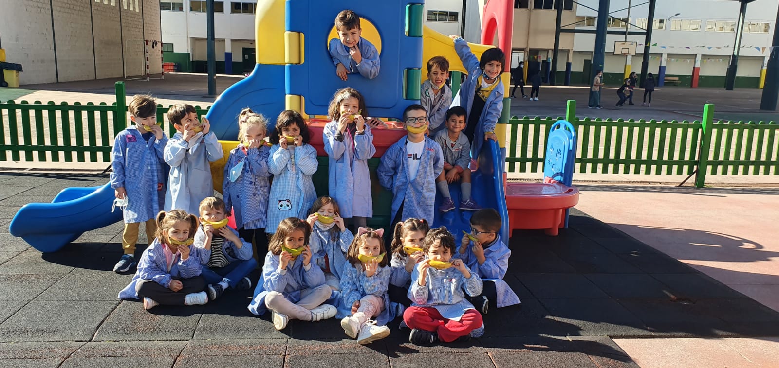 somoscomarca_arua_ceip_manuel_respino_platanos_canarias_lapalma_2021_10_08 (2)