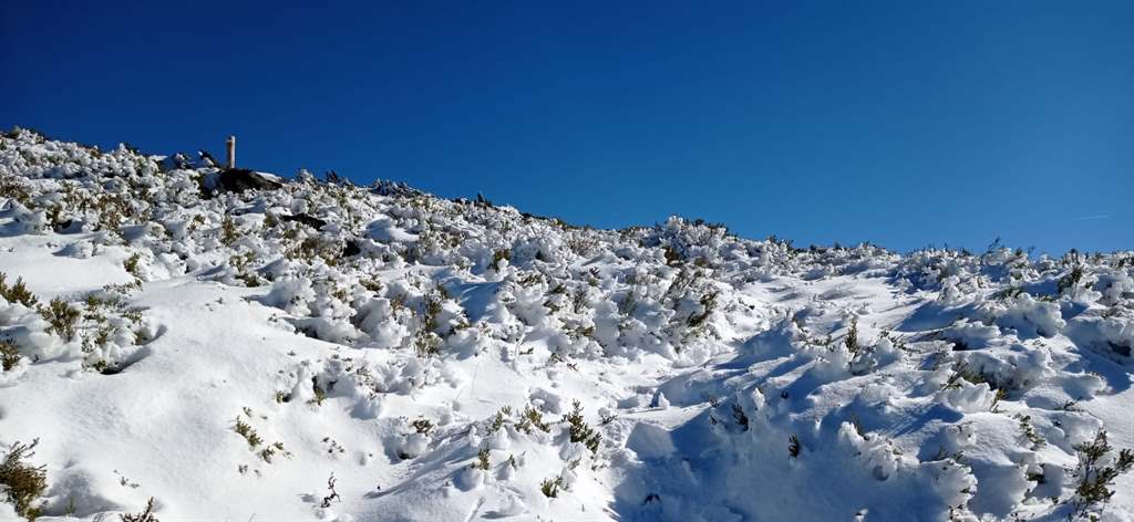 somoscomarca_trevinca_nieve_terrasaltasdetrevinca_peñatrevinca_actividad_2021 (4)