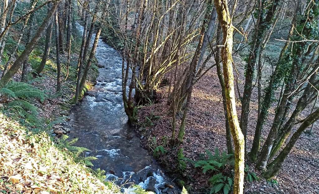 somoscomarca_andarinesarcos_ruta_riofarelos_otras_2021 (6)