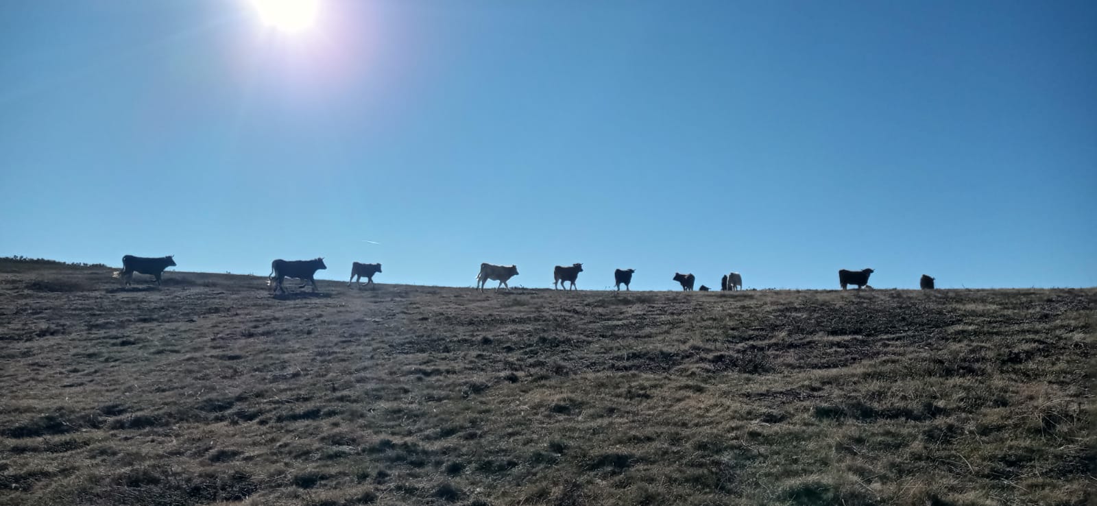 Andaina Terras Altas de Trevinca