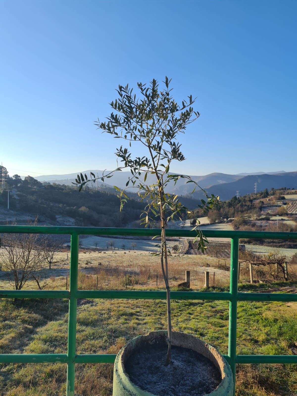 WhatsApp Image 2022-01-25 at 14.12.36 (1)