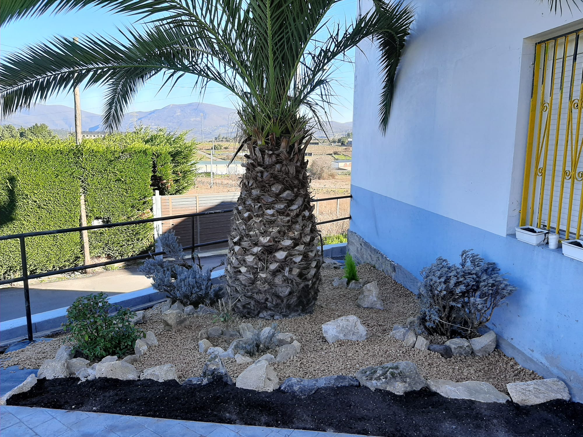 WhatsApp Image 2022-01-25 at 14.12.36