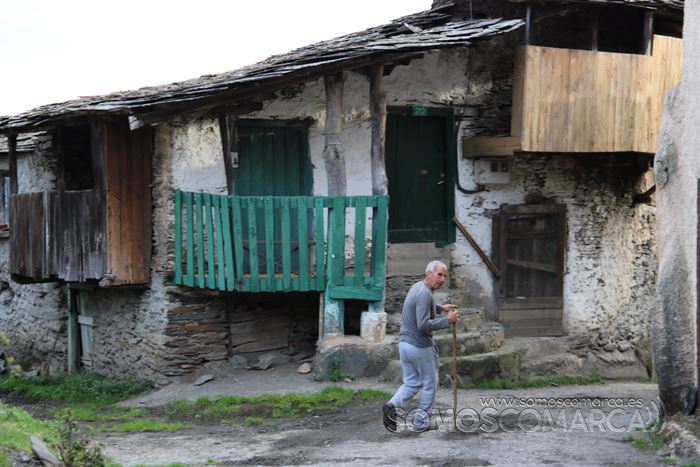 somos comarca_sanjulian_animales_manolo_cabras_vacas_terneros_ovejas_gatos_gallos_perros_2022 (10)
