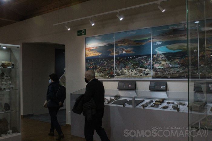 Dos visitantes del museo, este domingo en la sala de los fósiles paleozoicos