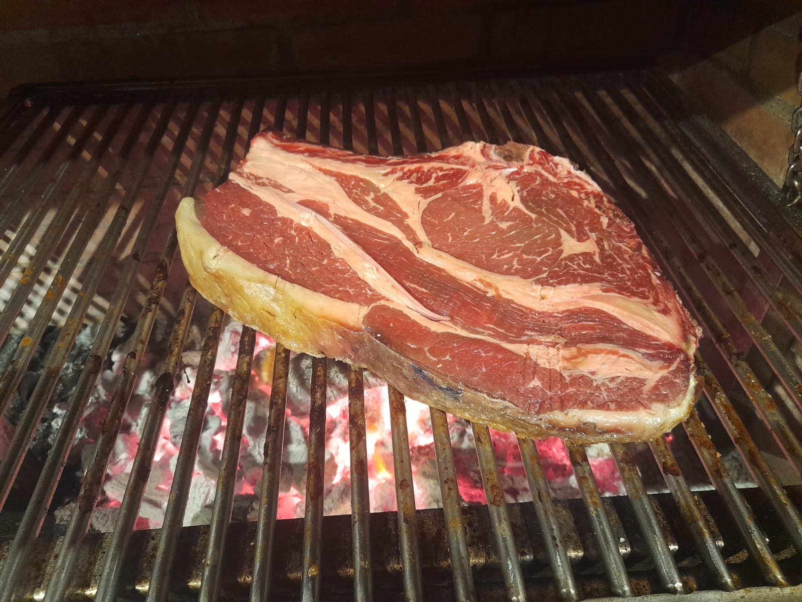 somoscomarca_buey_Carne_2022-04-09