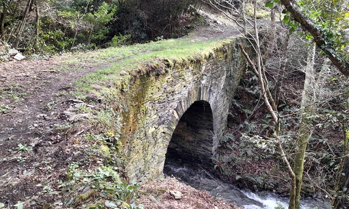 Puente de piedra entre el Castillo de Os Novais y Caspedro