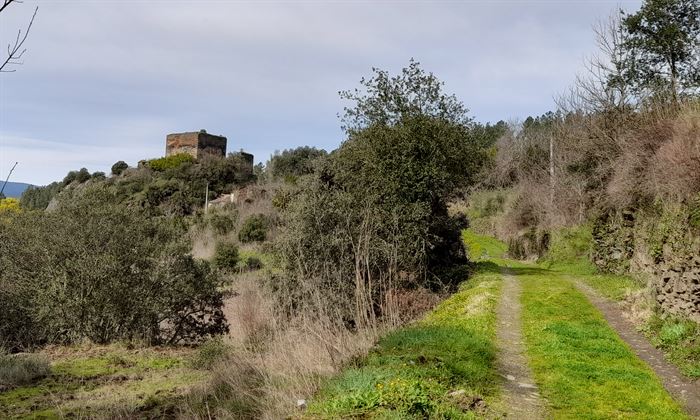 Camino entre el pueblo de Os Novais y el castillo, a lo alto