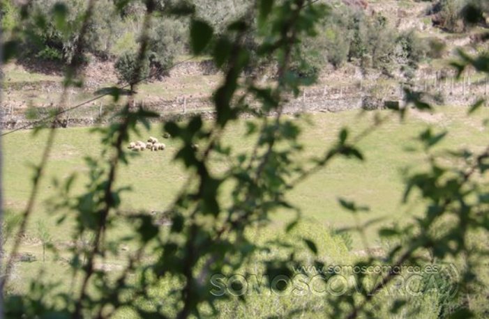 somoscomarca_asermitas_paisaje _2022_04_16(4)