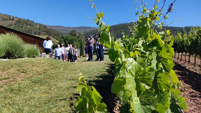 somoscomarca_xornadaportasabertas_ rutadoviño_2022(9)