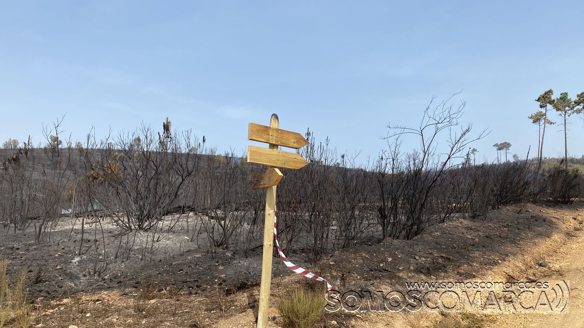 somoscomarca_viñas_larouco_fuego_quemado_2022-06-16 (2)