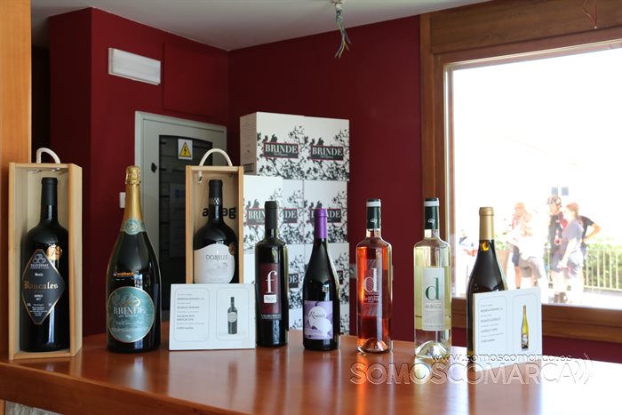 somoscomarca_entoma_bodegaroandi_nuevapasarela_tinos_referencias_marcas_2022 (4)