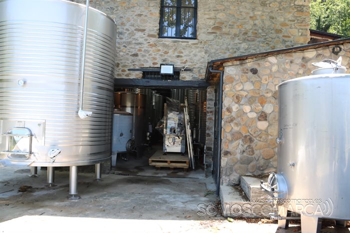 somoscomarca_vino_vinisterrae_feiradoviño_2022 (1)