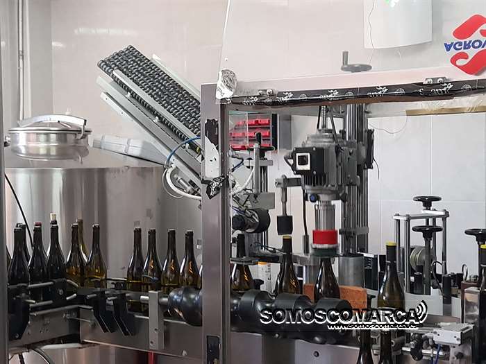 bodegassantamarta_viñaredo_corgomo (4)