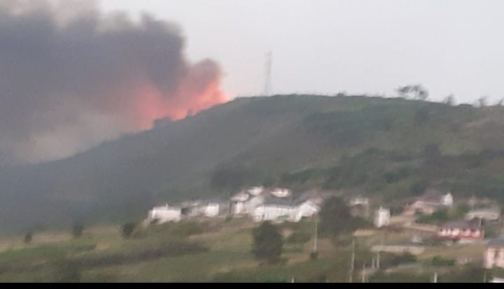 Incendio en carballal