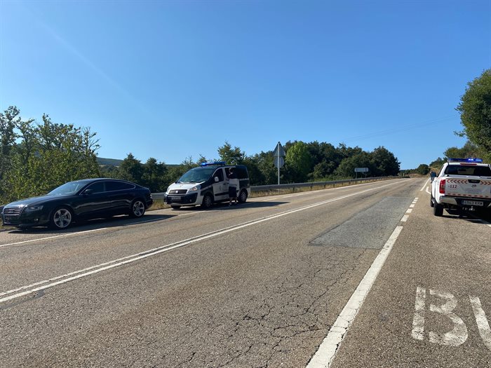 somoscomarca_obolo_accidente_atropello_corzo_2022 (2)