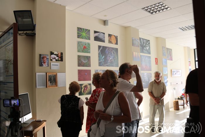 Exposición Luis Nogueira en Vilamartín (4)