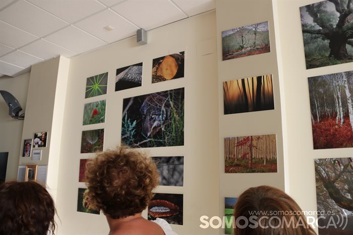 Exposición Luis Nogueira en Vilamartín (8)