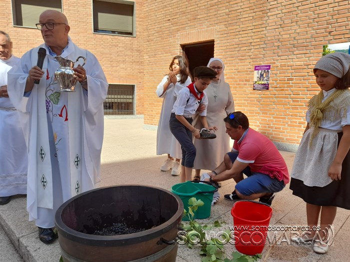 pisadoprimermosto_ilesiasantarita_vendimia_obarco (5)