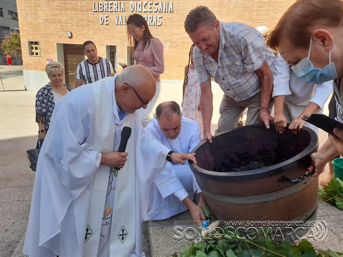 pisadoprimermosto_ilesiasantarita_vendimia_obarco (7)