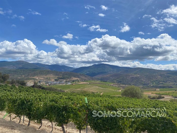 somoscomarca_larouco_panoramica_viñas_viñedos_aportela_2022