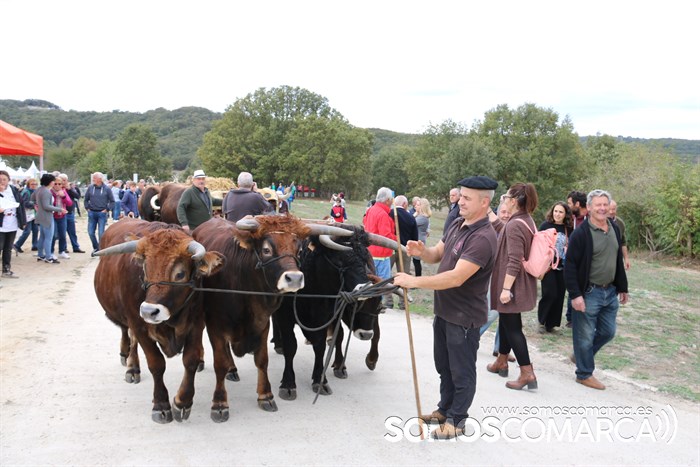 somoscomarca_aveiga_crianzatrevinca_feiradegando_2022 (21)