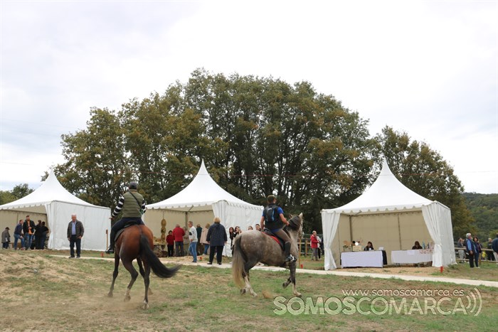 somoscomarca_aveiga_crianzatrevinca_feiradegando_stands2022 (14)