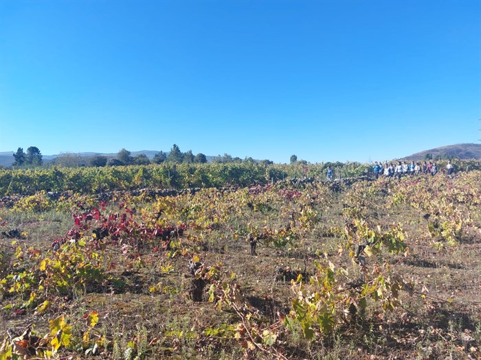 Camiñada sabores de outono en Larouco (4)
