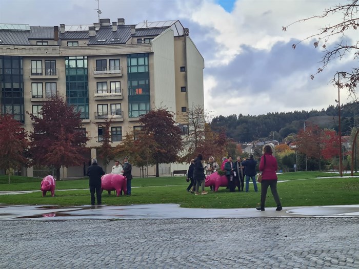 Visita a Lalín da veciñanza de Larouco e Río (9)
