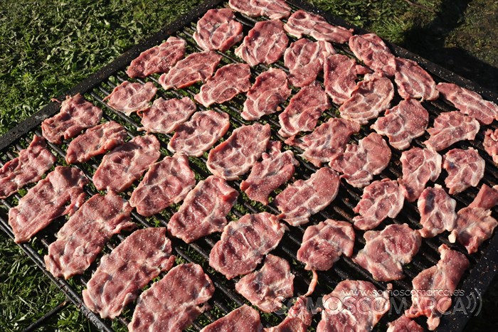 somoscomarca_petin_festadafreba_2022 (16)