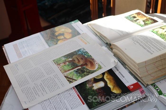 ssomoscomarca_obarco_setas_cristobalruizleivas_2022 (5)