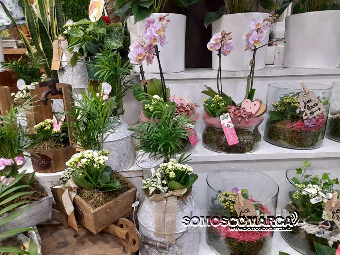 somoscomarca_obarco_pelopicoplanta_diadelamadre_2023 (1)