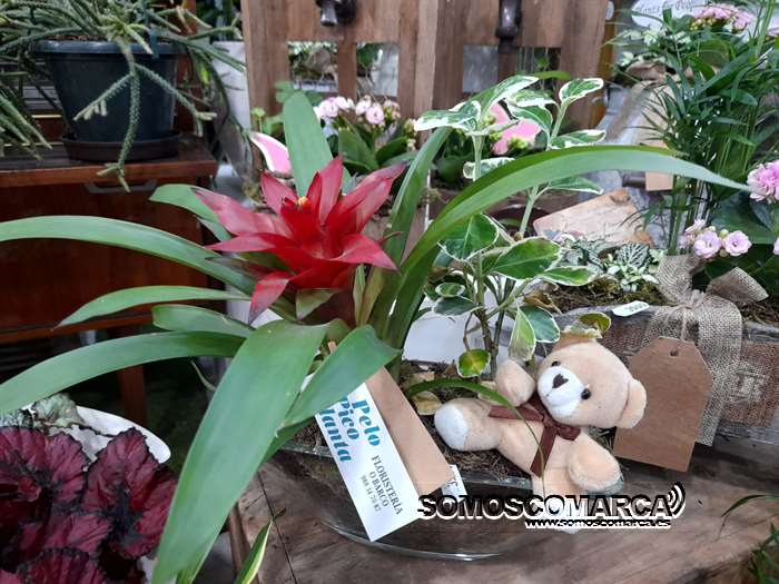 somoscomarca_obarco_pelopicoplanta_diadelamadre_2023 (3)