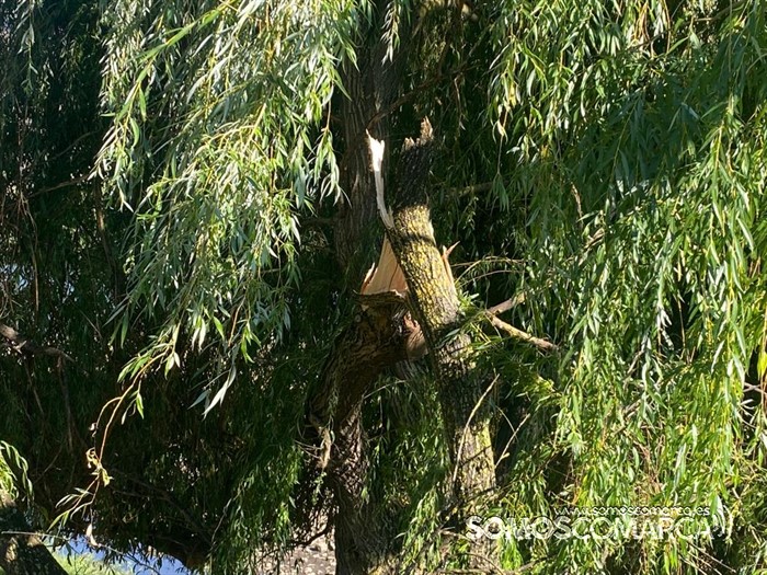 somoscomarca_obarco_malecón_roturaramasauce(2)_2023