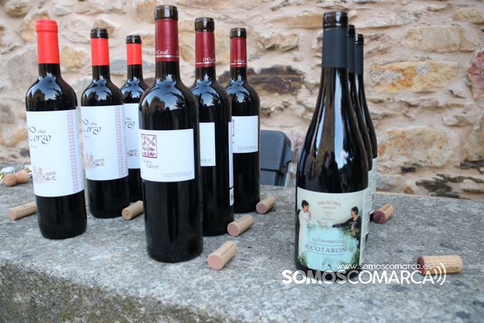 somoscomarca_obarco_ocastro_torredocastro_ceciliafernandez_cristinadelatorre_2023 (8)