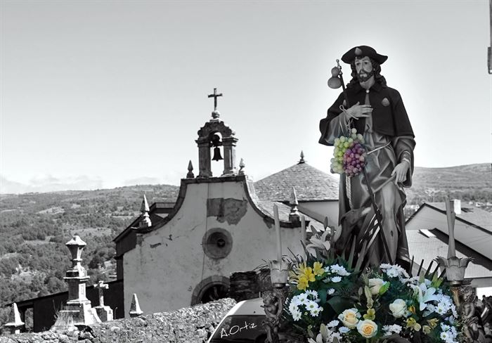 Fotografías cedidas de la procesión de San Roque y la Asunción, en Viana realizadas por J.L. Ortíz. (3)