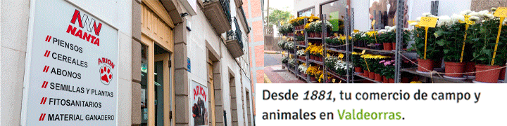 Publicidad 164973