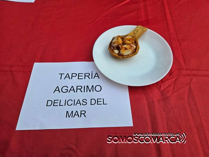 somoscomarca_obarco_aeva_presentacion_rutapinchos_2024 (15)
