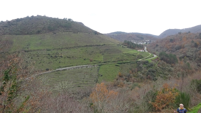 somoscomarca_240126_camiñodomonxe_migueldelacal