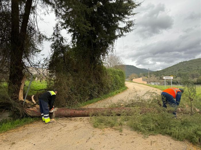 somoscomarca_240208_vilamartin_temporal