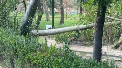 somoscomarca_240208_viloira_temporal