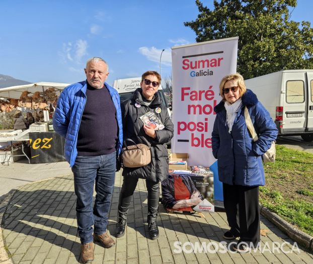 somoscomarca_290209_viloira_sumar