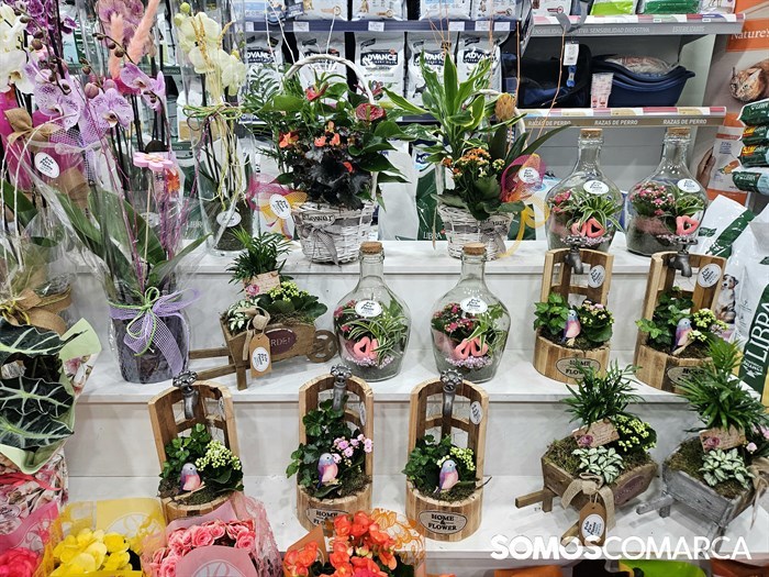 somoscomarca_240502_obarco_diadelamadre_pelopicoplanta238