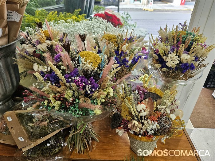 somoscomarca_240502_obarco_diadelamadre_pelopicoplanta236