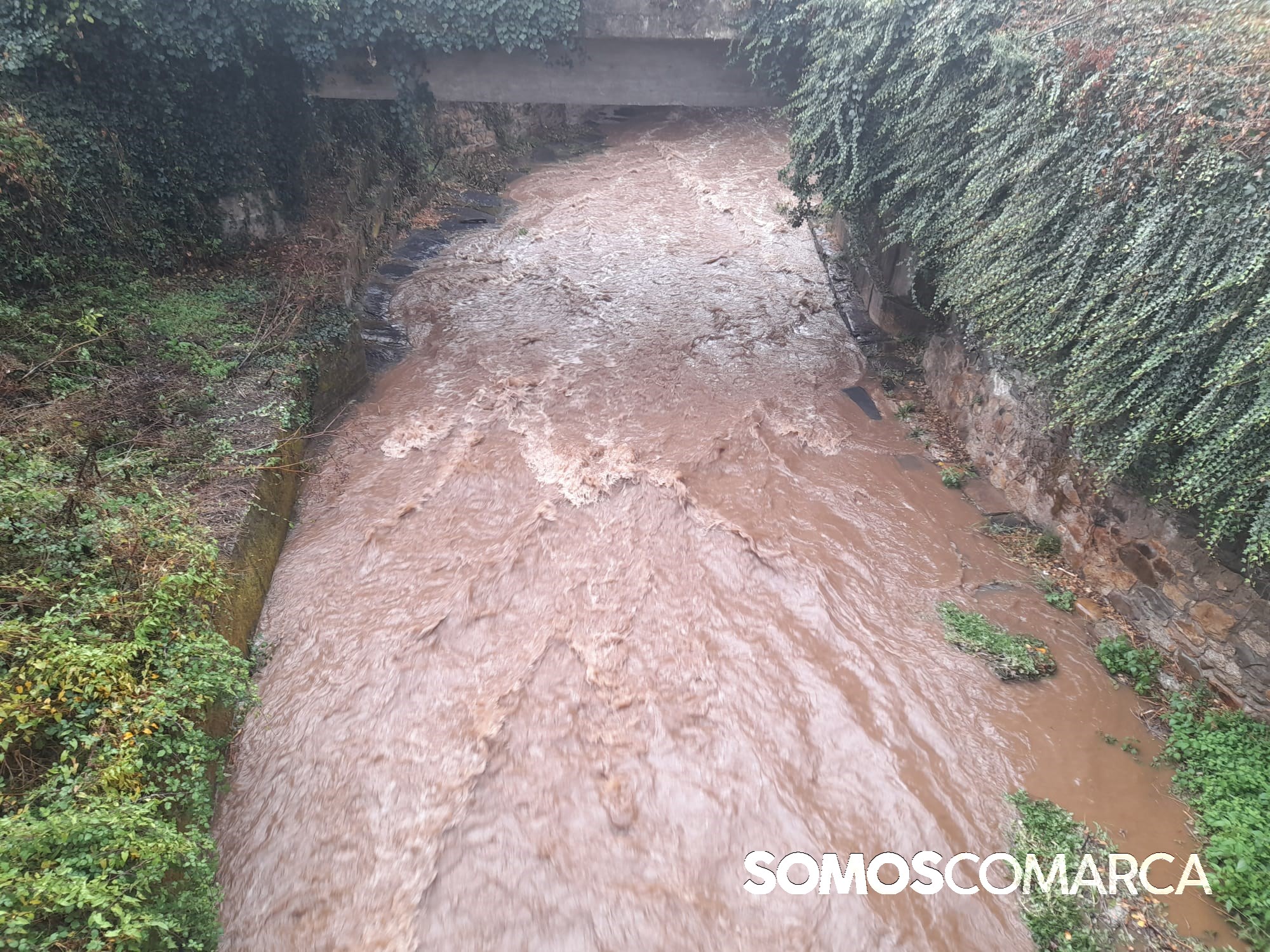 P_somoscomarca_240926_obarco_rubia_temporal515