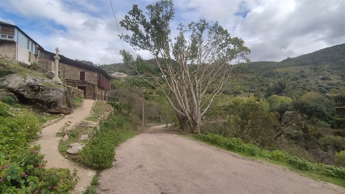 somoscomarca_202410010_asermitas_arboles_cortevia_zinarecreativa (4)