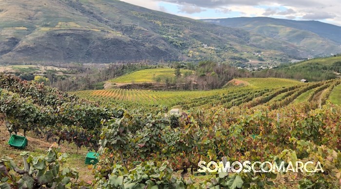 somoscomarca_241011_entoma_roandi562